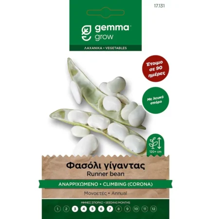 Gemma Σπόροι Φασολιού Γίγαντας Αναρριχώμενο