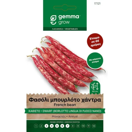 Gemma Σπόροι Φασολιού Μπουρλότο Χάντρα Καθιστό