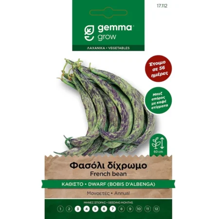 Gemma Σπόροι Φασολιού Δίχρωμο Ελέφαντας Καθιστό