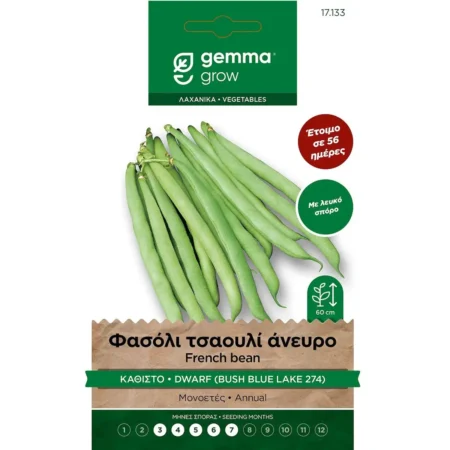 Gemma Σπόροι Φασολιού Τσαουλί Καθιστό