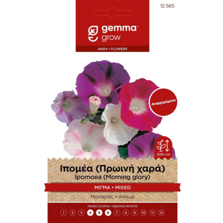 Gemma Σπόροι Ιπομέα 2gr