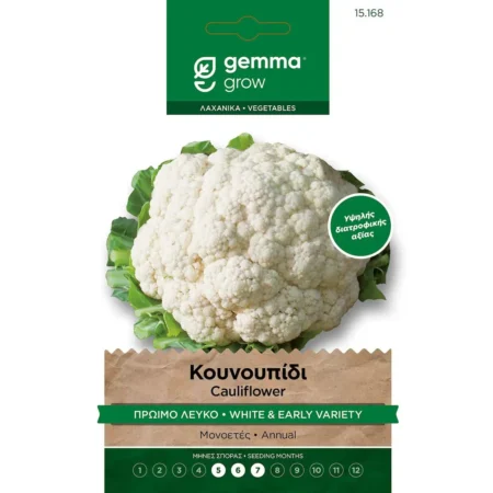 Gemma Σπόροι Κουνουπιδιού
