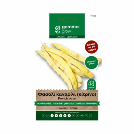 Gemma Σπόροι Φασολιού Καναρίνι Κίτρινο Αναρριχώμενο