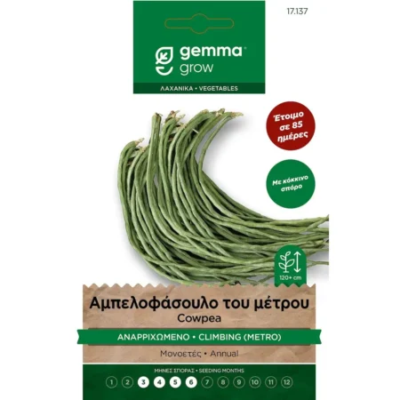 Σπόροι Φασολιού Αμπελοφάσουλο του Μέτρου Αναρριχώμενο