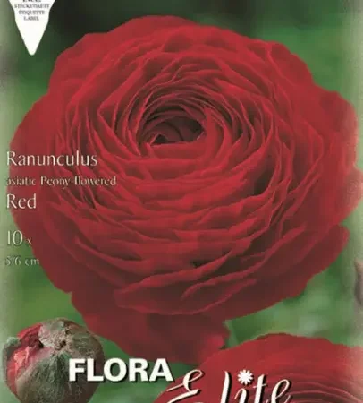 Gemma Asiatic Red Βολβoί Νεραγκούλας 10τμχ