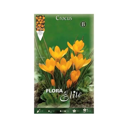 Gemma Σπόροι Κρόκου 10τμχ