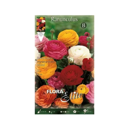 Gemma Asiatic Mixed Βολβoί Νεραγκούλας 10τμχ