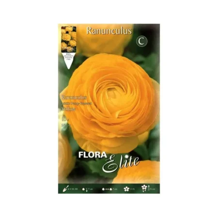 Gemma Asiatic Yellow Βολβoί Νεραγκούλας 10τμχ