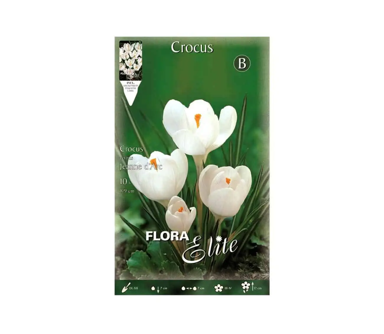 Gemma Jeanne D'Ark Βολβoί Κρόκου 10τμχ