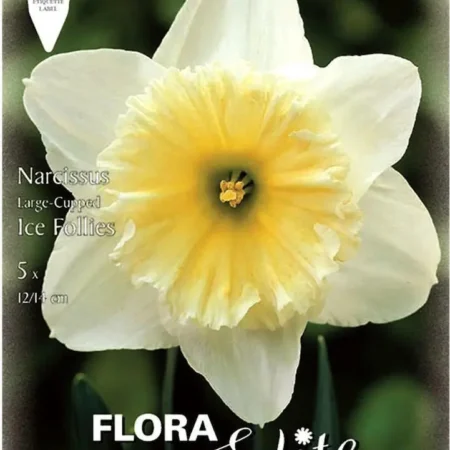 Gemma Ice Follies Βολβoί Νάρκισσου 5τμχ