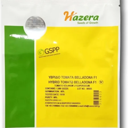 Hazera Belladona GSPP F1 Σπόροι Τομάτας 1000τμχ