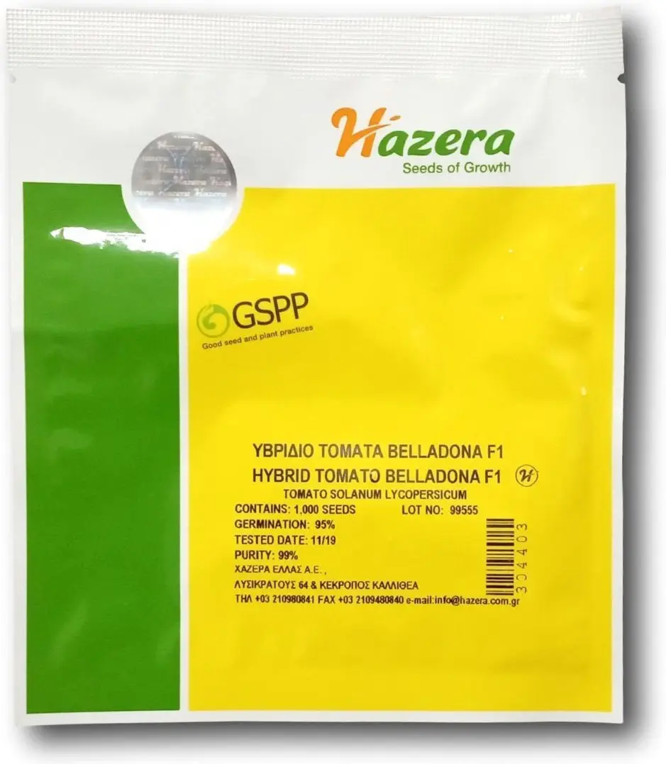 Hazera Belladona GSPP F1 Σπόροι Τομάτας 1000τμχ