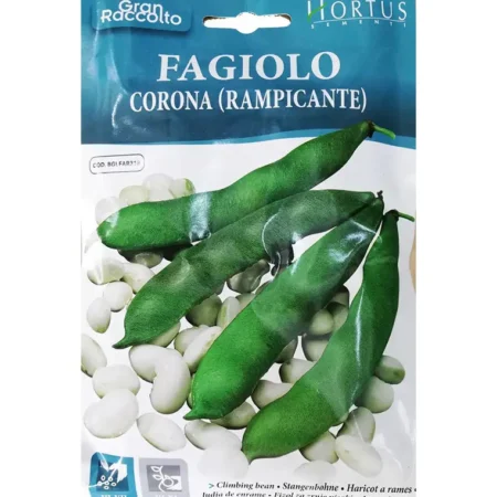 Φασόλι Γίγαντας Αναρριχώμενο 10g.