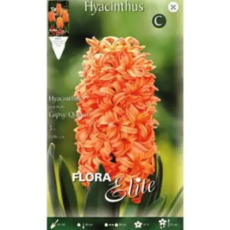 Gemma Βολβός Ζουμπούλι