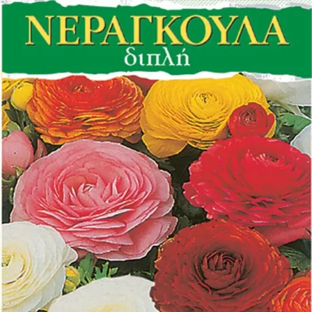 Gemma Βολβoί Νεραγκούλας 4τμχ