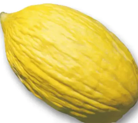 Gemma Σπόροι Πεπονιού 4.5gr