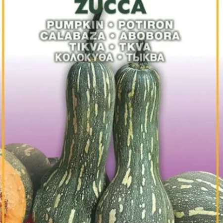 Gemma Μακριά Σπόροι Κολοκυθιού 1gr