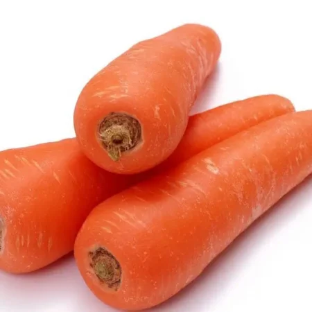 Gemma Σπόροι Καρότου 6gr