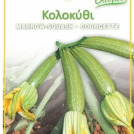 Gemma Σπόροι Κολοκυθιού 5gr