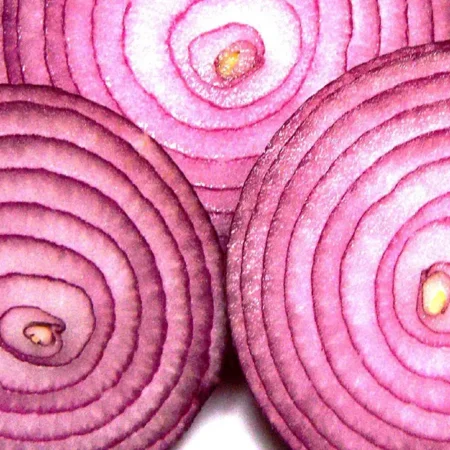 Gemma Allium Σπόροι Κρεμμυδιού 1gr