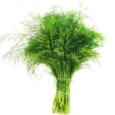 Gemma Σπόροι Μάραθος 2gr