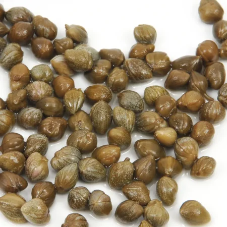 Gemma Σπόροι Κάπαρη 0.1gr