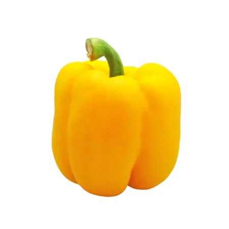 Gemma Σπόροι Πιπεριάς 0.4gr