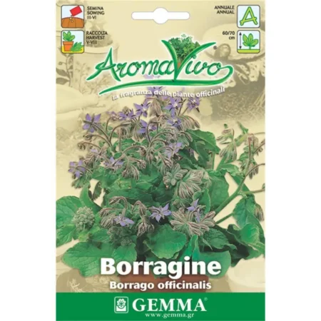 Gemma Σπόροι Βοιδόγλωσσας