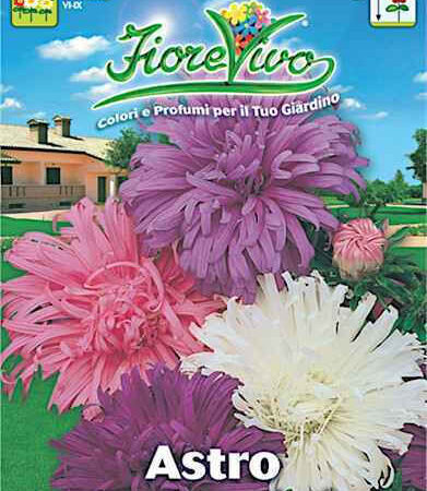 Gemma Μίγμα Σπόροι Άστερ 1gr