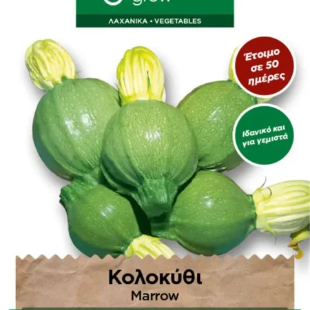 Gemma Σπόροι Κολοκυθιού Πράσινο