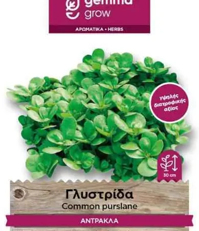 Gemma Σπόροι Πορτουλάκας