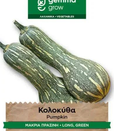 Gemma Μακριά Σπόροι Κολοκυθιού 1gr Πράσινο