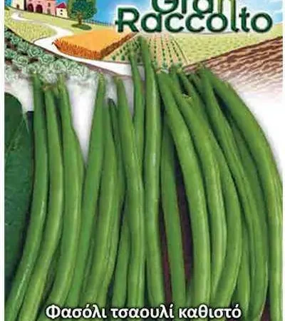 Gemma Σπόροι Φασολιού 40gr