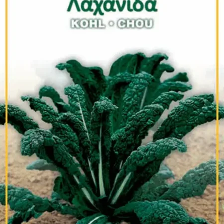 Gemma Σπόροι Λαχανίδας 2gr Μαύρο