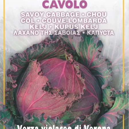 Gemma Σπόροι Λάχανου 2gr Μωβ