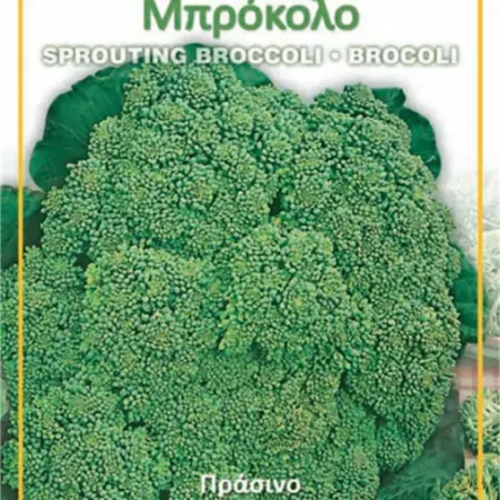 Gemma Σπόροι Μπρόκολου 1gr