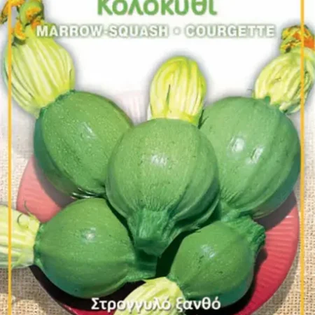 Gemma Σπόροι στρογγυλού Κολοκυθιού 3gr