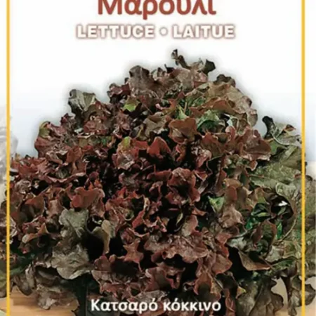 Gemma Σπόροι Μαρουλιού 3gr Κόκκινο