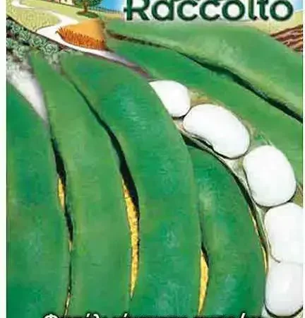 Gemma Φασόλι Γίγαντες Αναρριχώμενο 40g