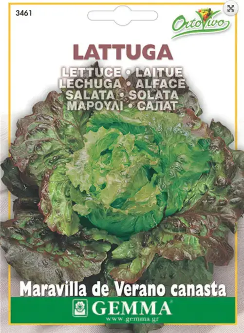 Gemma Μαρούλι Σαλάτα Long Life Raccolto 30 Ημερών 1,8g