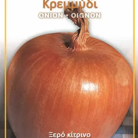 Gemma Σπόροι Κρεμμυδιού 1gr Κίτρινο