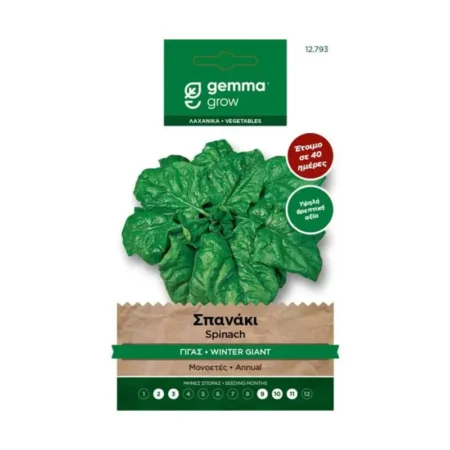 Gemma Σπανάκι Γίγας Χειμερινό Gigante De Invierno