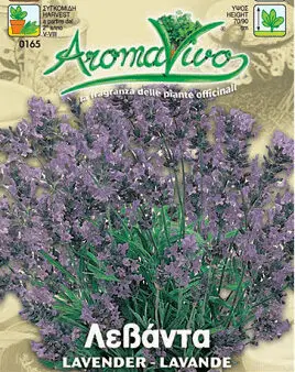 Σπόροι Λεβάντας