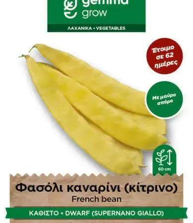 Gemma Φασόλι Καναρίνι-κίτρινο Καθιστό 10g