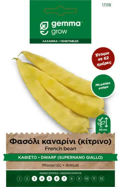 Gemma Φασόλι Καναρίνι-κίτρινο Καθιστό 10g