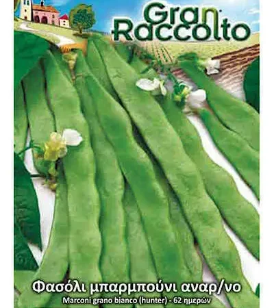 Gemma Φασόλι Μπαρμπούνι Πράσινο Αναρριχώμενο 40g