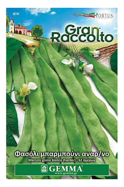 Gemma Φασόλι Μπαρμπούνι Πράσινο Αναρριχώμενο 40g