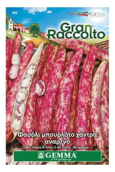 Gemma Φασόλι Μπουρλότο Χάντρα Αναρριχώμενο 40g