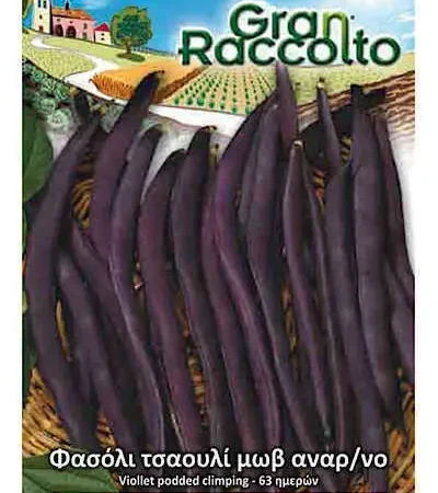 Gemma Φασόλι Τσαουλί Μωβ Αναρριχώμενο 40g