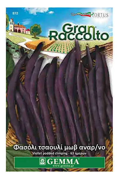 Gemma Φασόλι Τσαουλί Μωβ Αναρριχώμενο 40g